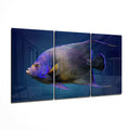 Queen Angel Fish Glass Art